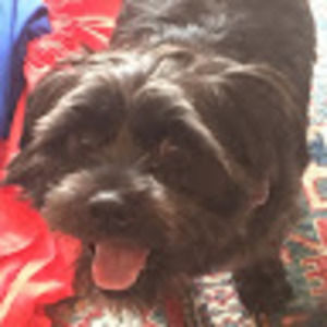 Meet your Posher, Emma